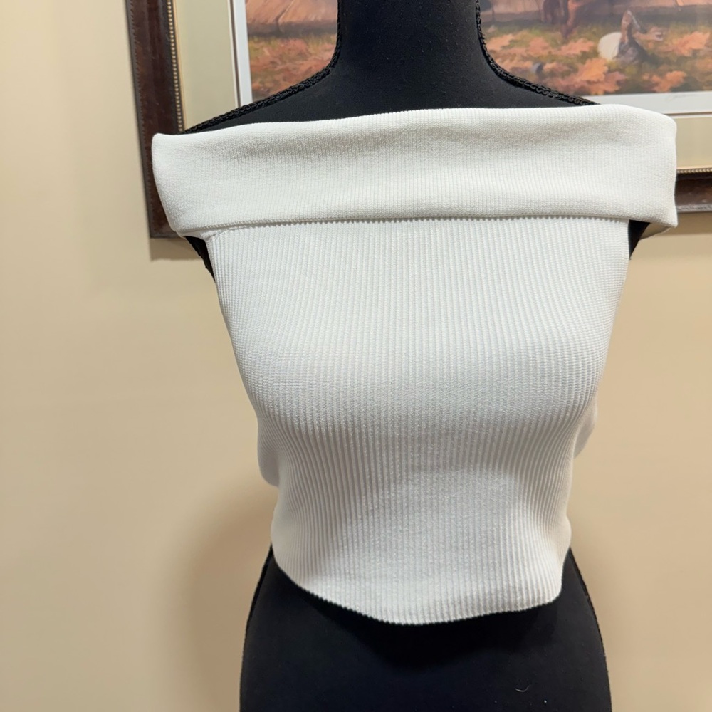 Aritzia Babaton White Off The Shoulder High Hip Top